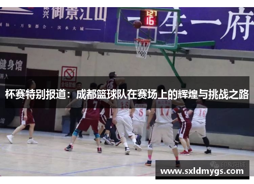 杯赛特别报道：成都篮球队在赛场上的辉煌与挑战之路