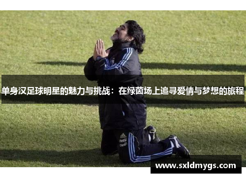 单身汉足球明星的魅力与挑战：在绿茵场上追寻爱情与梦想的旅程