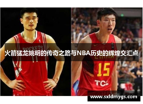 火箭猛龙姚明的传奇之路与NBA历史的辉煌交汇点