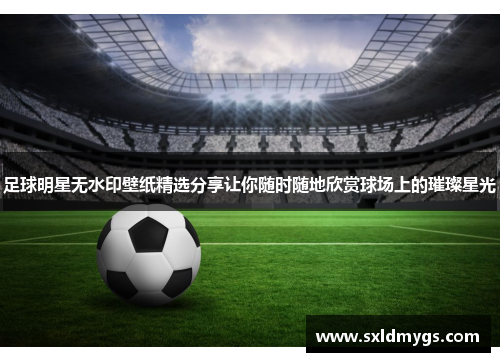 足球明星无水印壁纸精选分享让你随时随地欣赏球场上的璀璨星光