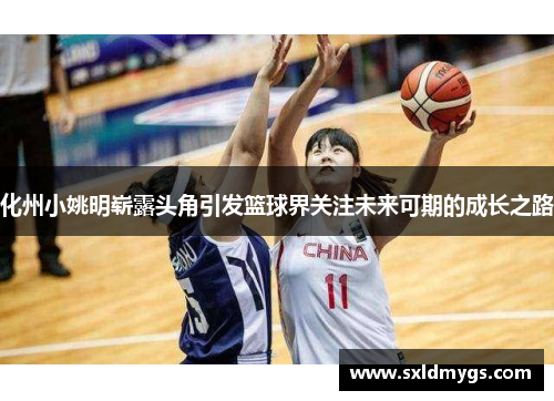化州小姚明崭露头角引发篮球界关注未来可期的成长之路