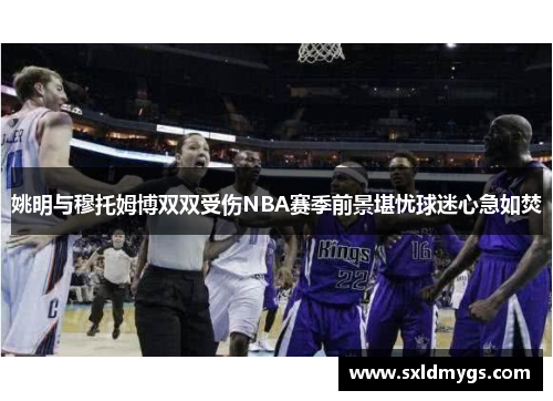 姚明与穆托姆博双双受伤NBA赛季前景堪忧球迷心急如焚