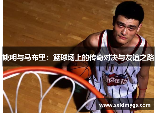姚明与马布里：篮球场上的传奇对决与友谊之路