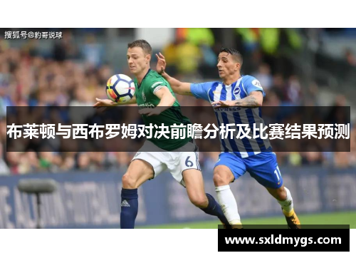 布莱顿与西布罗姆对决前瞻分析及比赛结果预测