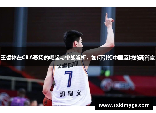 王哲林在CBA赛场的崛起与挑战解析，如何引领中国篮球的新篇章